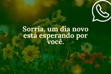 Frases e imagens para postar no WhatsApp