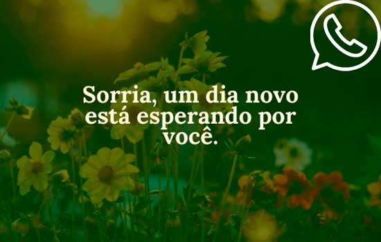 Aplicativos de imagens e frases bíblicas para postar no WhatsApp
