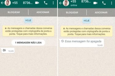 Como ver mensagens apagadas do Whatsapp