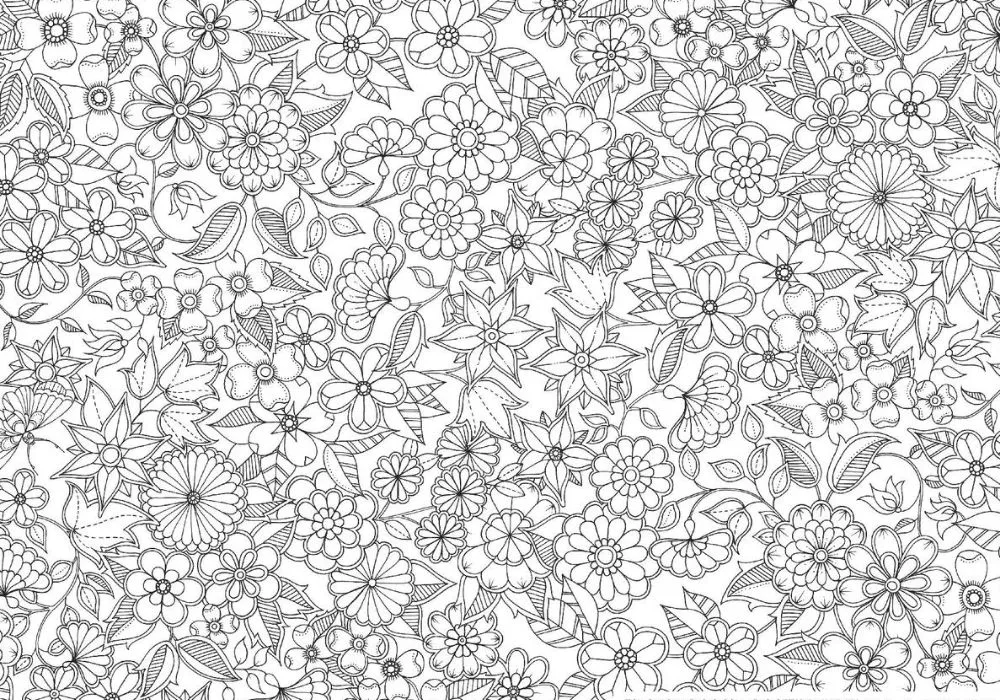 Aplicativo para pintar desenho pelo celular